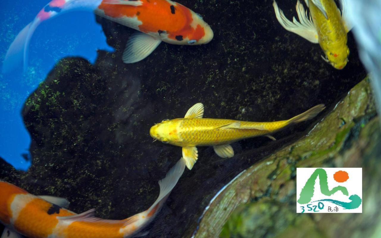 3520 Homestay T'ai-tung エクステリア 写真