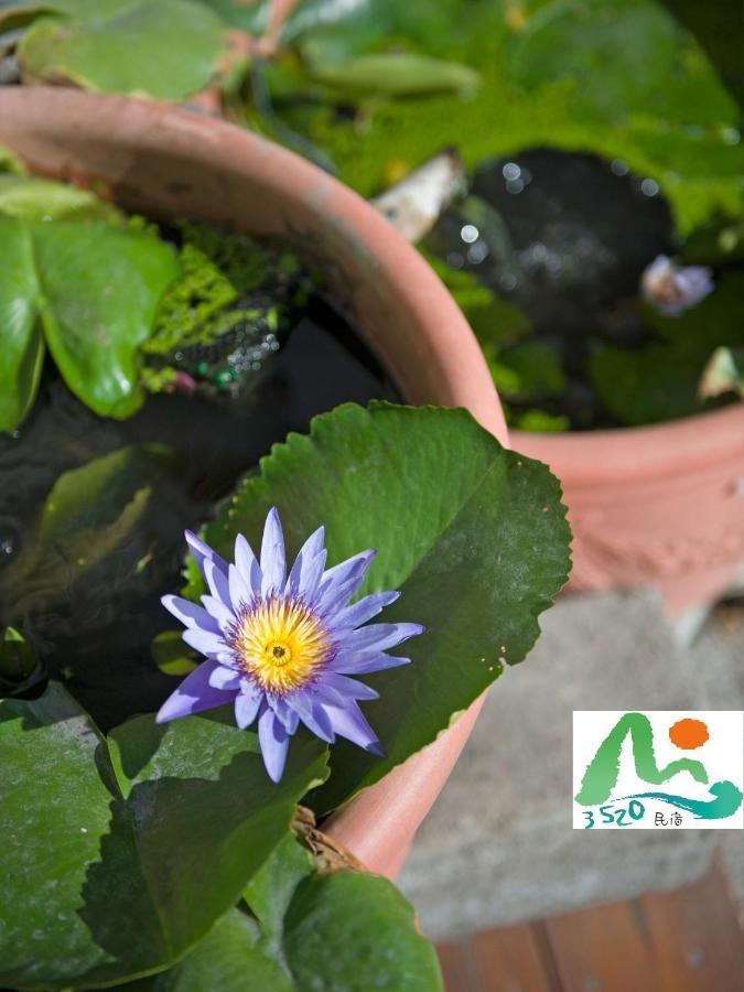 3520 Homestay T'ai-tung エクステリア 写真